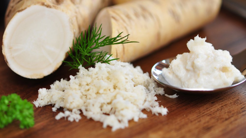 Can Cats Eat Horseradish?