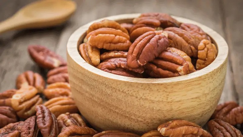 Can Cats Eat Pecans?