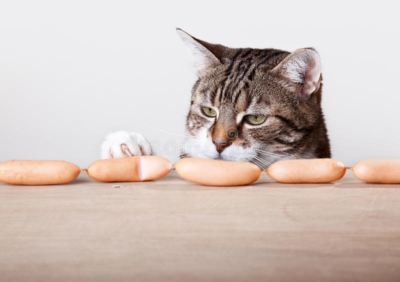 Can Cats Eat Sausage?