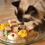 Can Cats Eat Sweets?