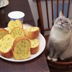 Can cats eat garlic bread?