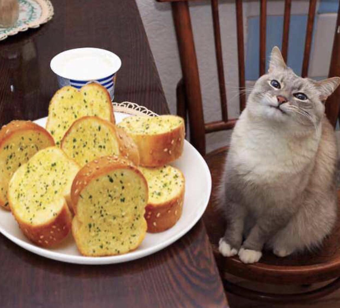Can cats eat garlic bread?