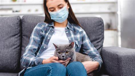 What Should You do to Reduce Cat Allergy?