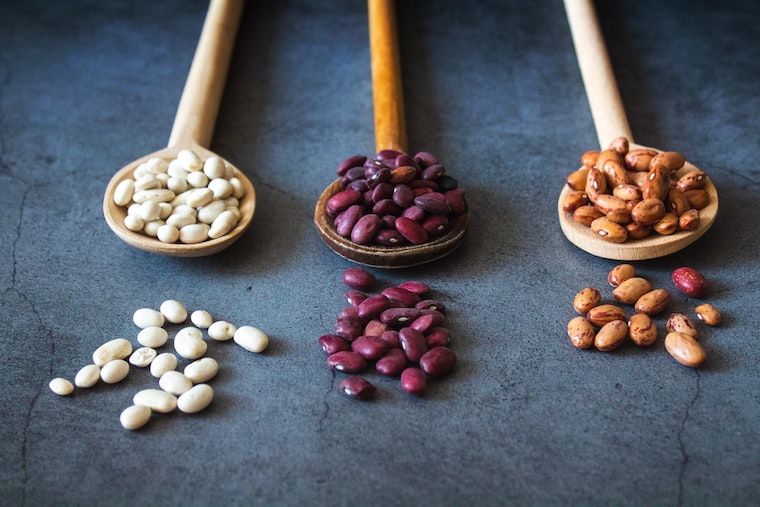Can Cats Eat Pinto Beans?