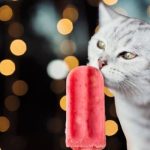 Can Cats Eat Popsicles?