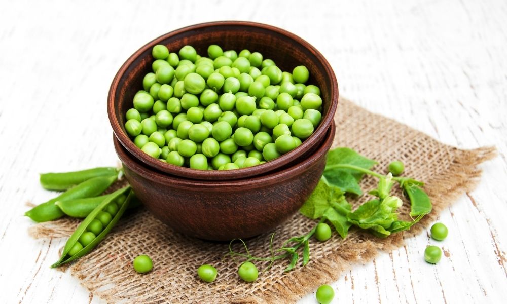 Can Cats Eat Sugar Snap Peas?