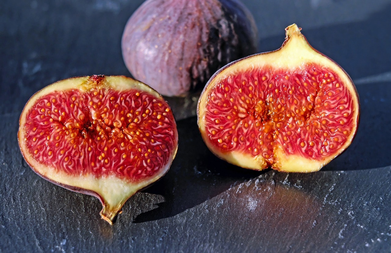 Can Cats Eat Figs