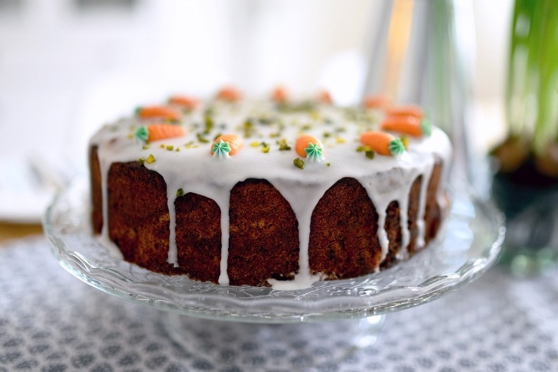 Can Cats Eat Frosting