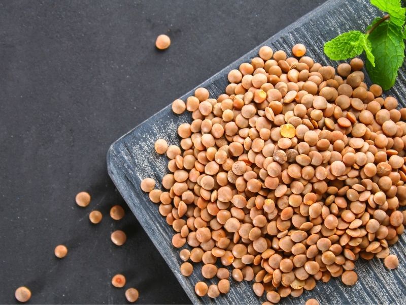 Can Cats Eat Lentils