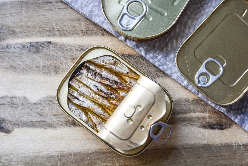 Can Cats Eat Canned Sardines?