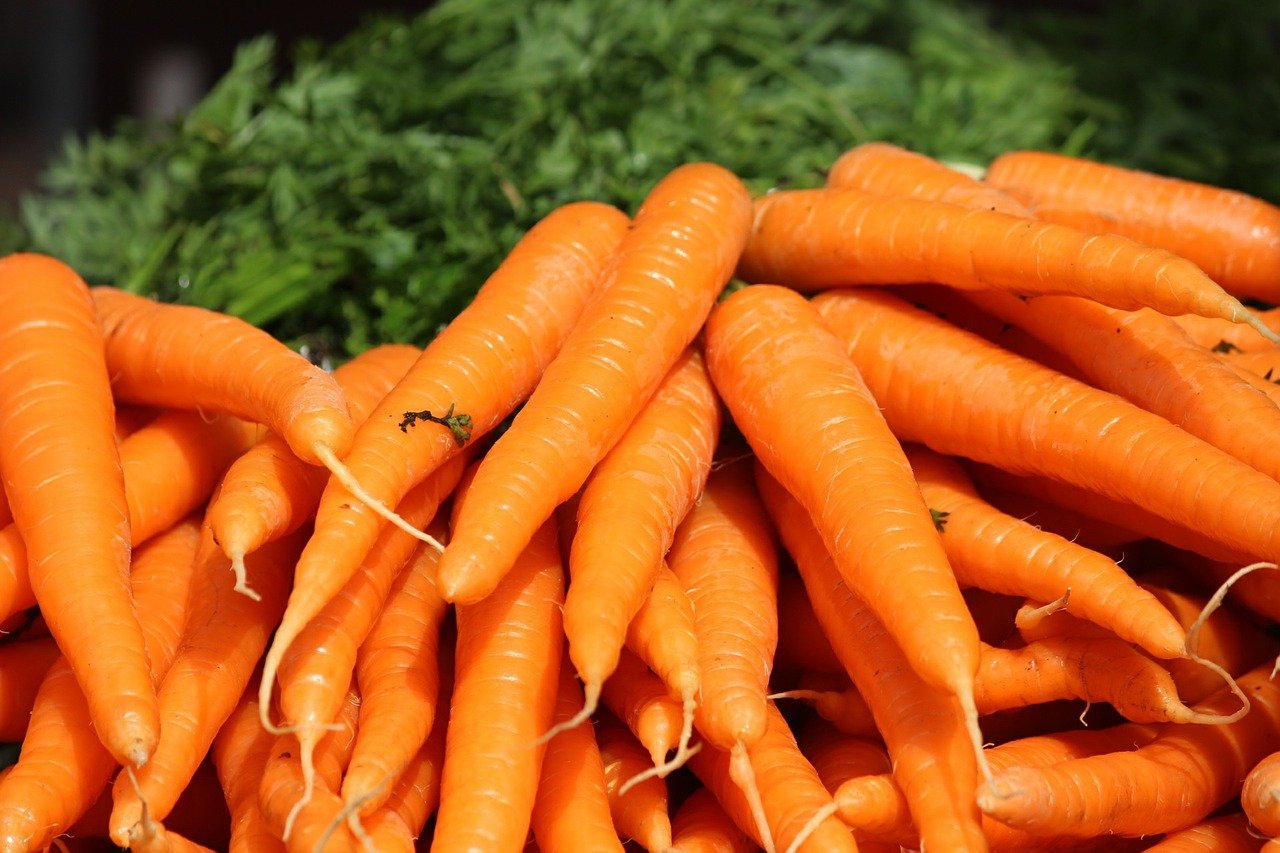 Can Cats Eat Carrot Greens