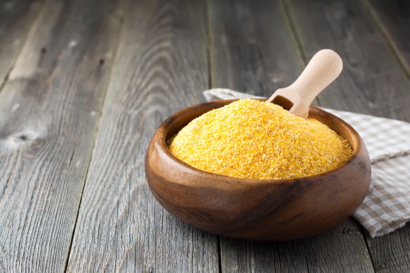 Can Cats Eat Grits?