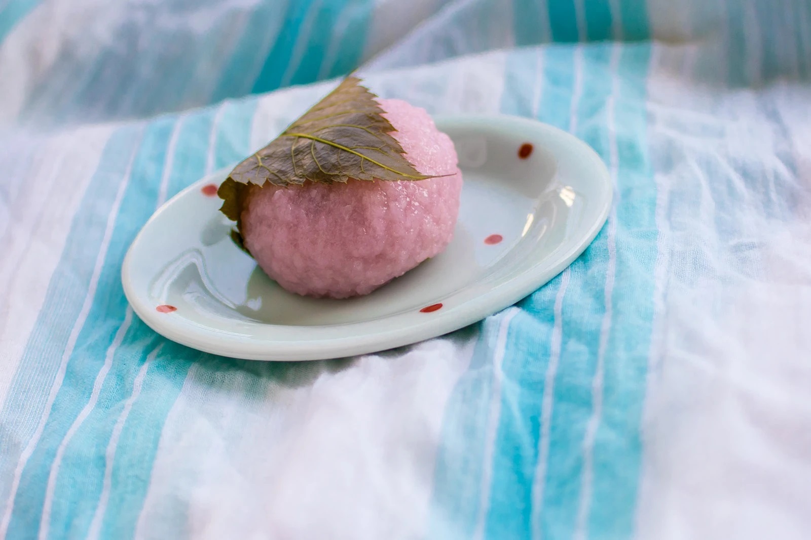 Can Cats Eat Mochi?