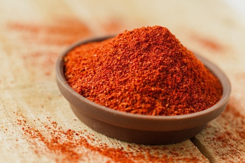 Can Cats Eat Paprika?