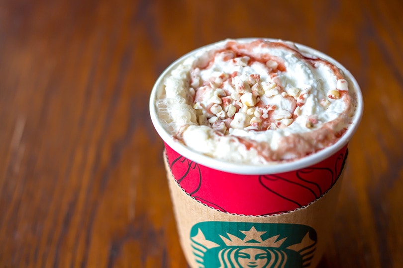 Can Cats Eat Puppuccinos?