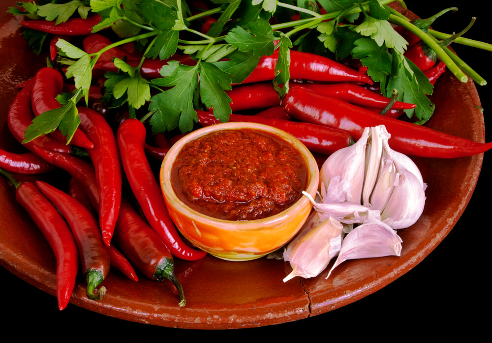 Can cats eat salsa?