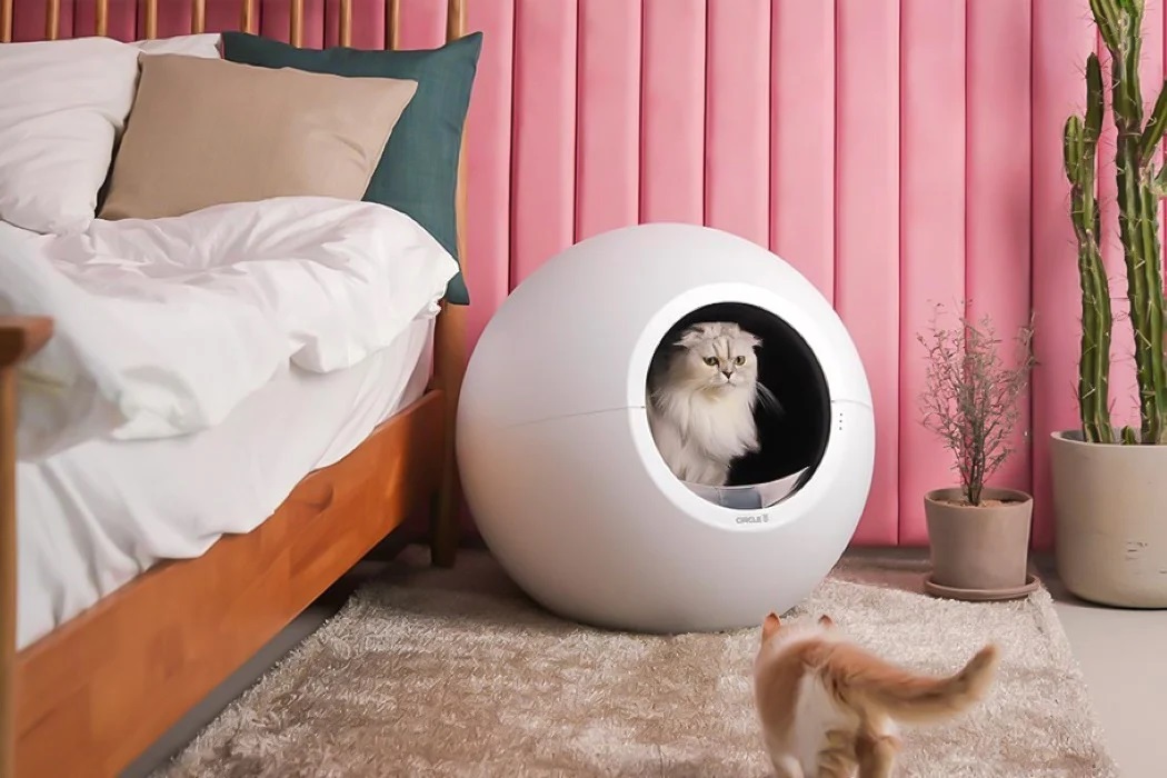 Litter Box In Bedroom