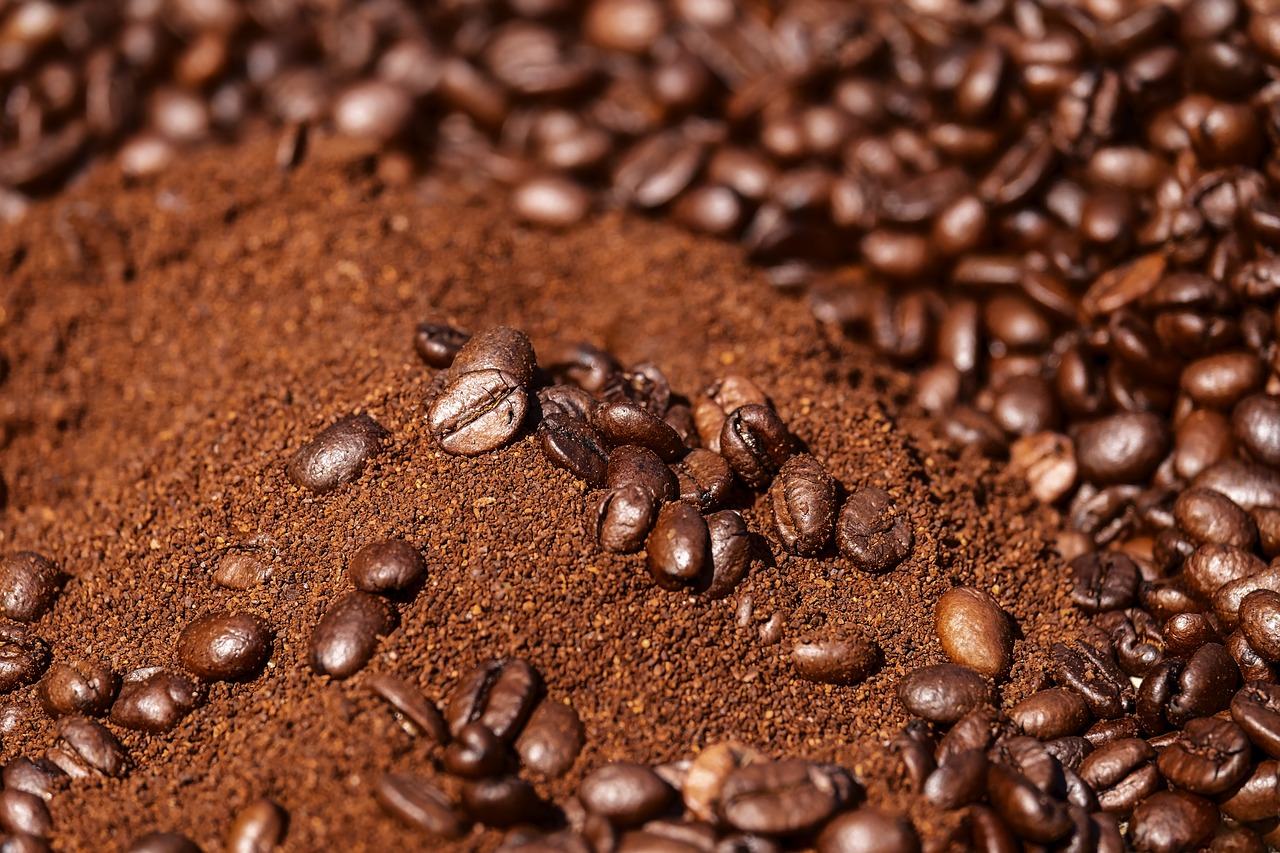 Are Coffee Grounds Toxic to Cats?