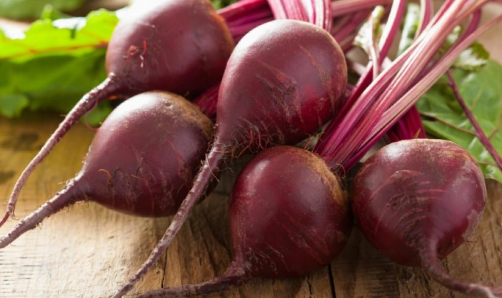 Can Cats Eat Beet?