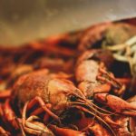 Can Cats Eat Crawfish?