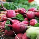 Can Cats Eat Radishes?