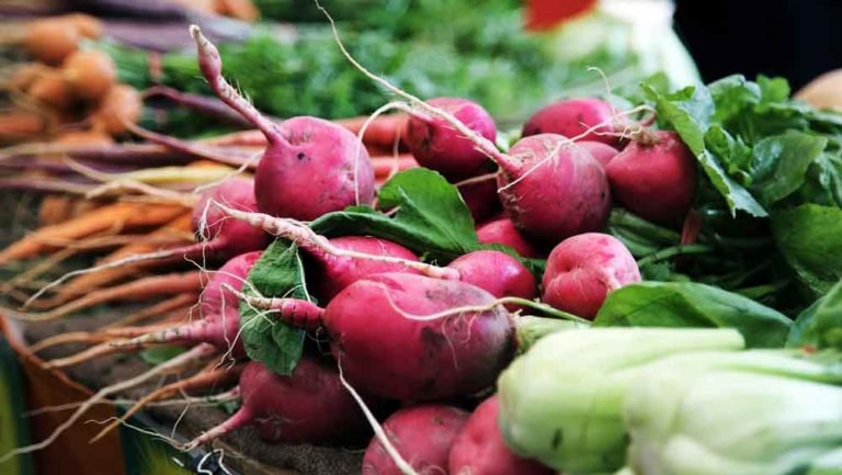 Can Cats Eat Radishes?
