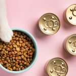 Does Canned Cat Food Go Bad In Heat