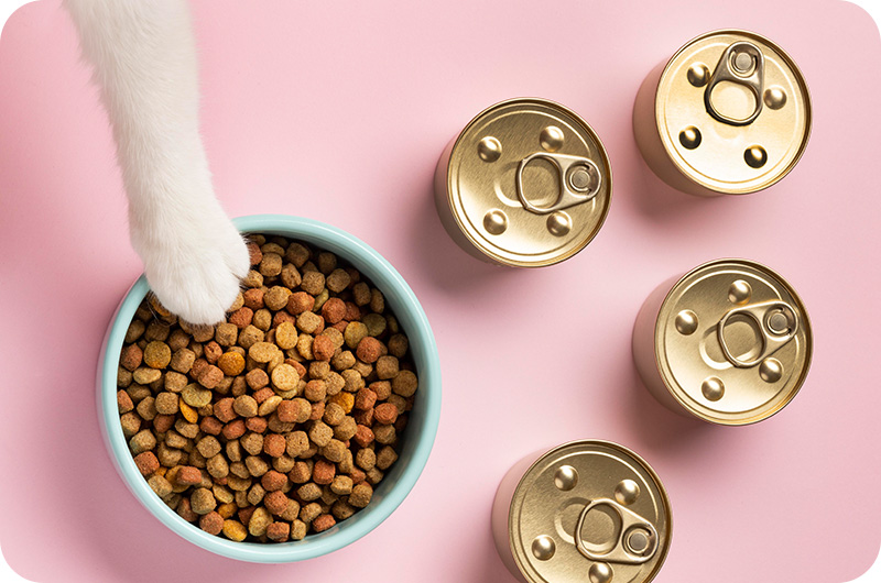 Does Canned Cat Food Go Bad In Heat