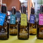 Can Cats Drink Kombucha?