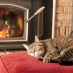 How To Keep Cats Off The Stove