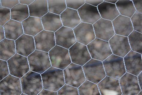 Chicken Wire For Cats