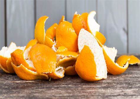 Do Orange Peels Keep Cats Away?