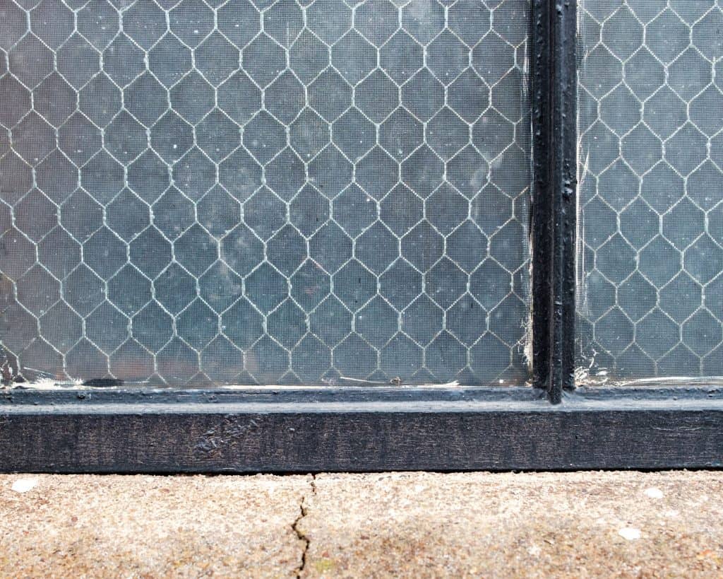 Does Chicken Wire Deter Cats