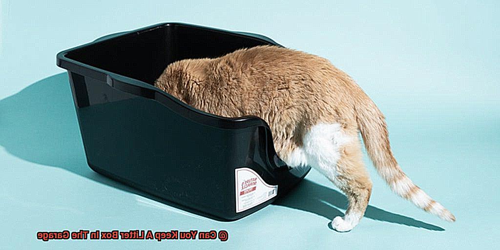 The Best Cat Litter Boxes For 2023 Reviews By Wirecutter