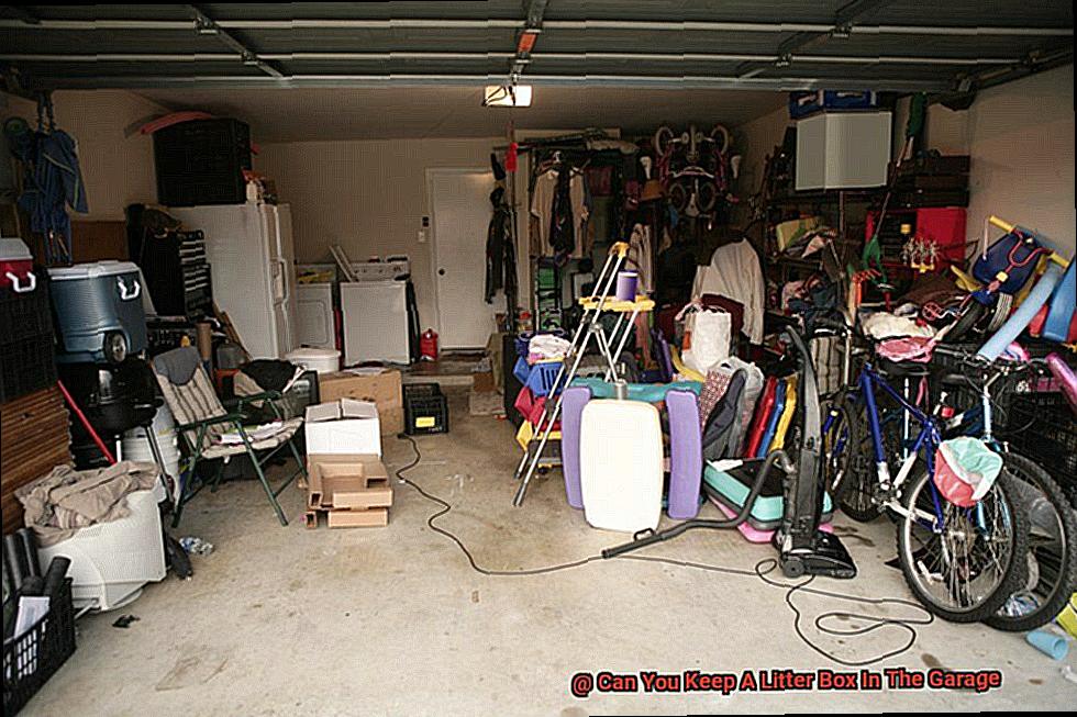 Can You Keep A Litter Box In The Garage 9d2589291d