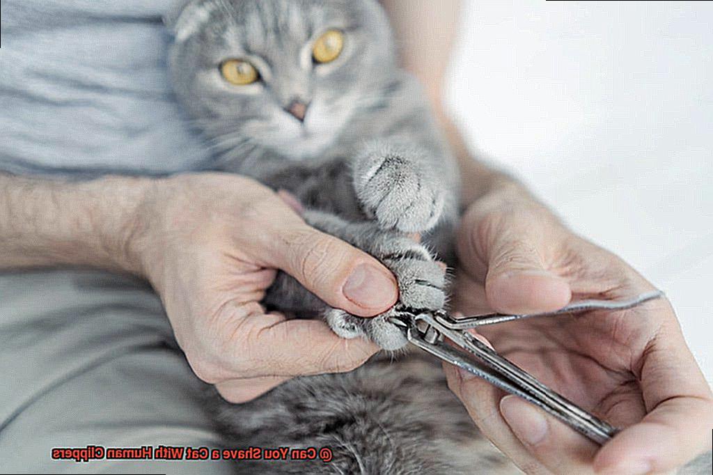 Can You Shave a Cat With Human Clippers a61f8973cc