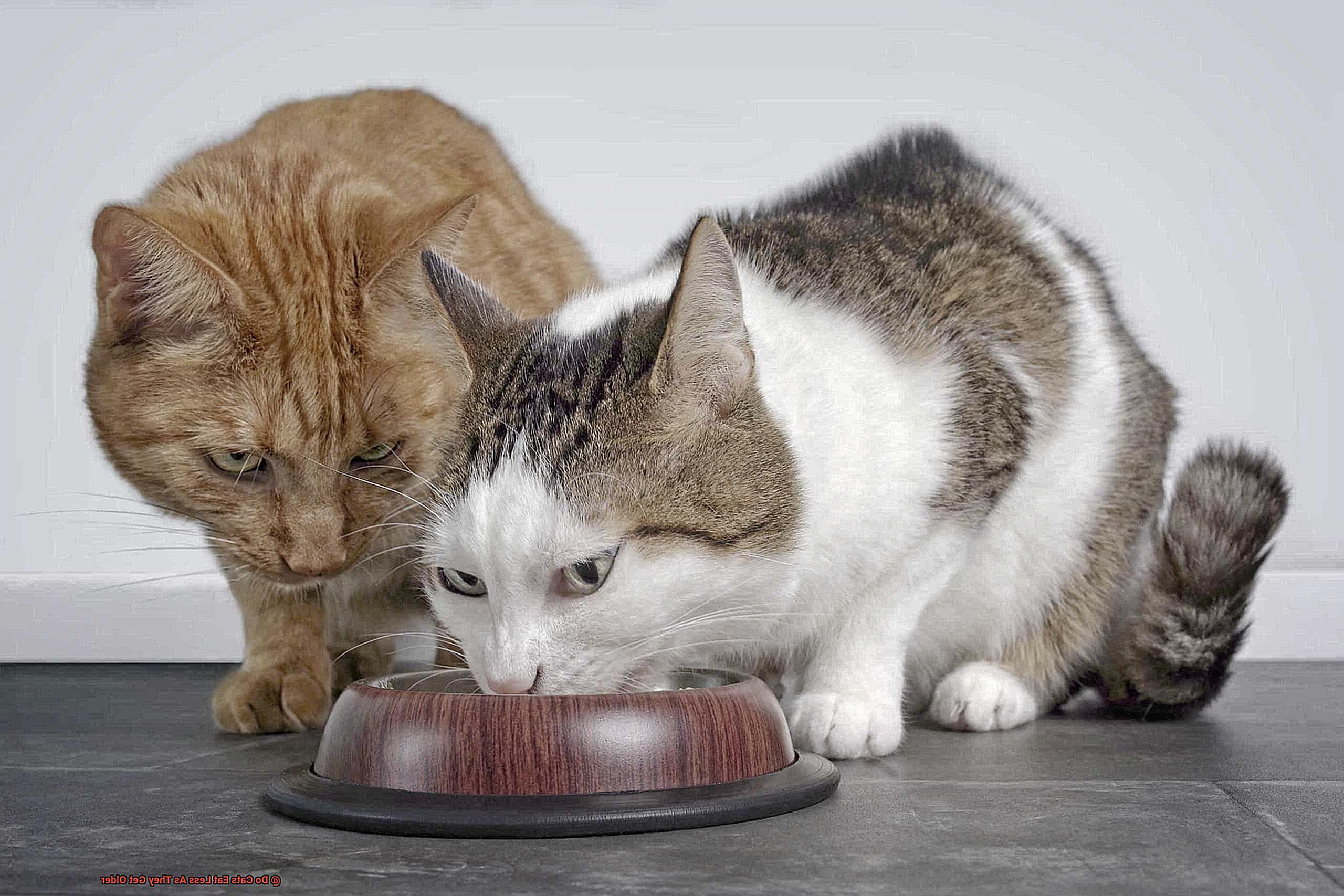 Do Cats Eat Less As They Get Older 116dc0779e