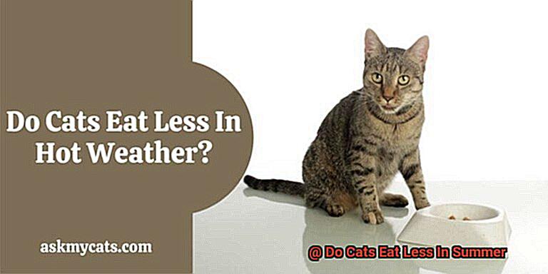 Do Cats Eat Less In Summer f52ff6c3aa
