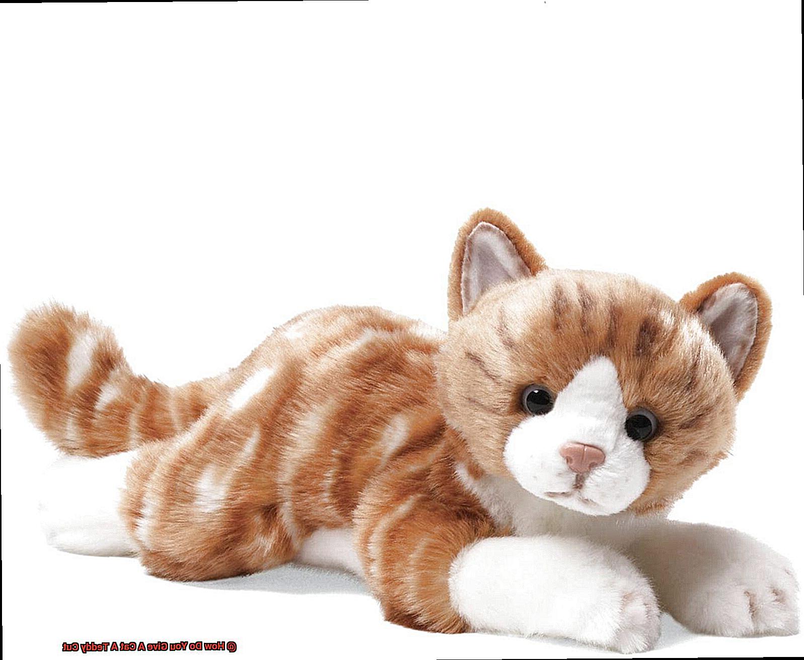 How Do You Give A Cat A Teddy Cut 28d53db688