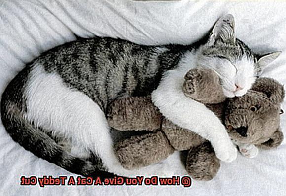 How Do You Give A Cat A Teddy Cut a2707158b0