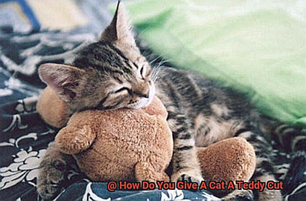 How Do You Give A Cat A Teddy Cut afa41caa9b