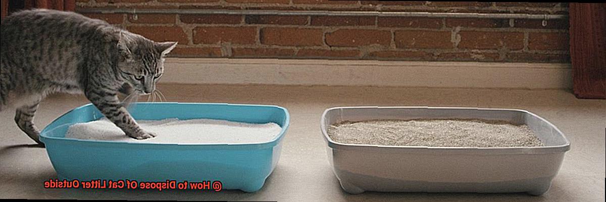 How to Dispose Of Cat Litter Outside 40738c620e