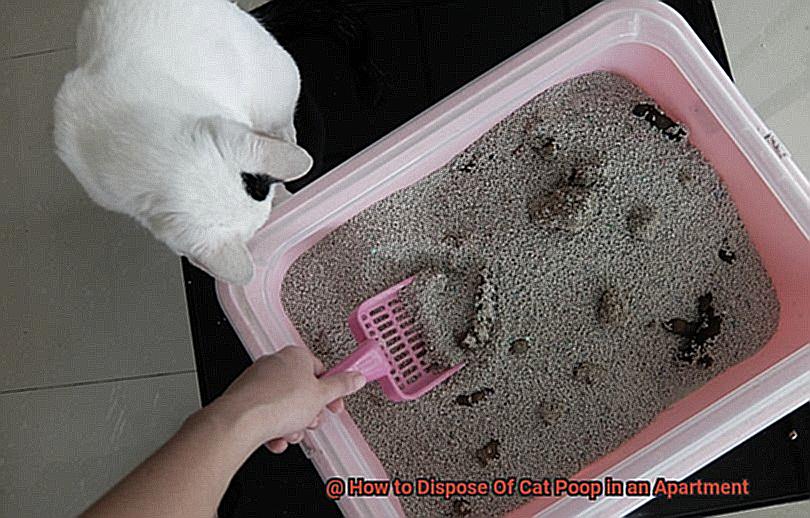 How to Dispose Of Cat Poop in an Apartment 5e53d4b9b8