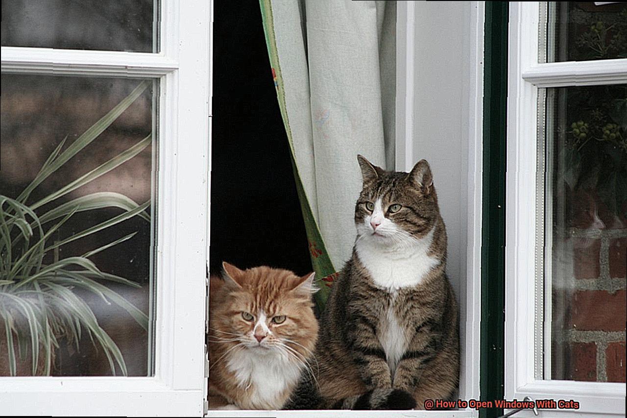 How to Open Windows With Cats 2d747ea98a