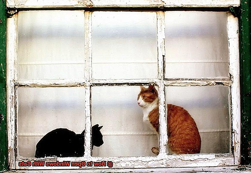 How to Open Windows With Cats 48dcf02a12