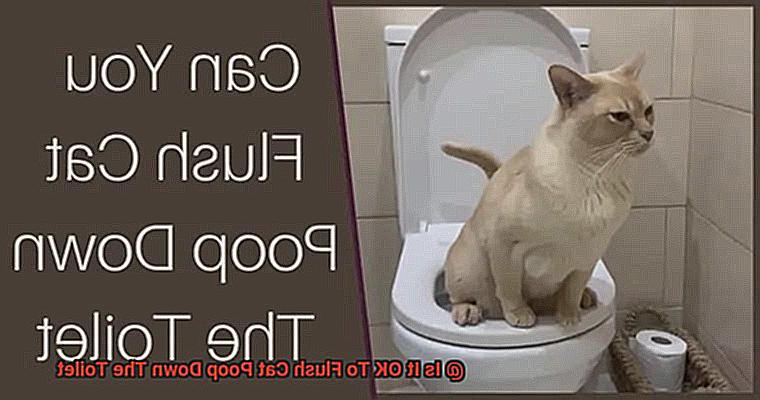 Is It OK To Flush Cat Poop Down The Toilet 16126ebd48