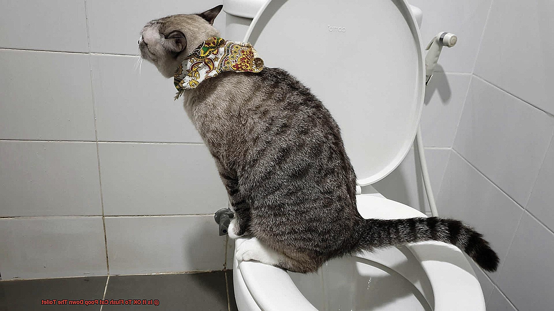 Is It OK To Flush Cat Poop Down The Toilet 5fa2f301ec