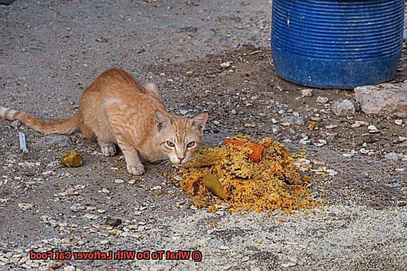 What To Do With Leftover Cat Food 905e1f44ee