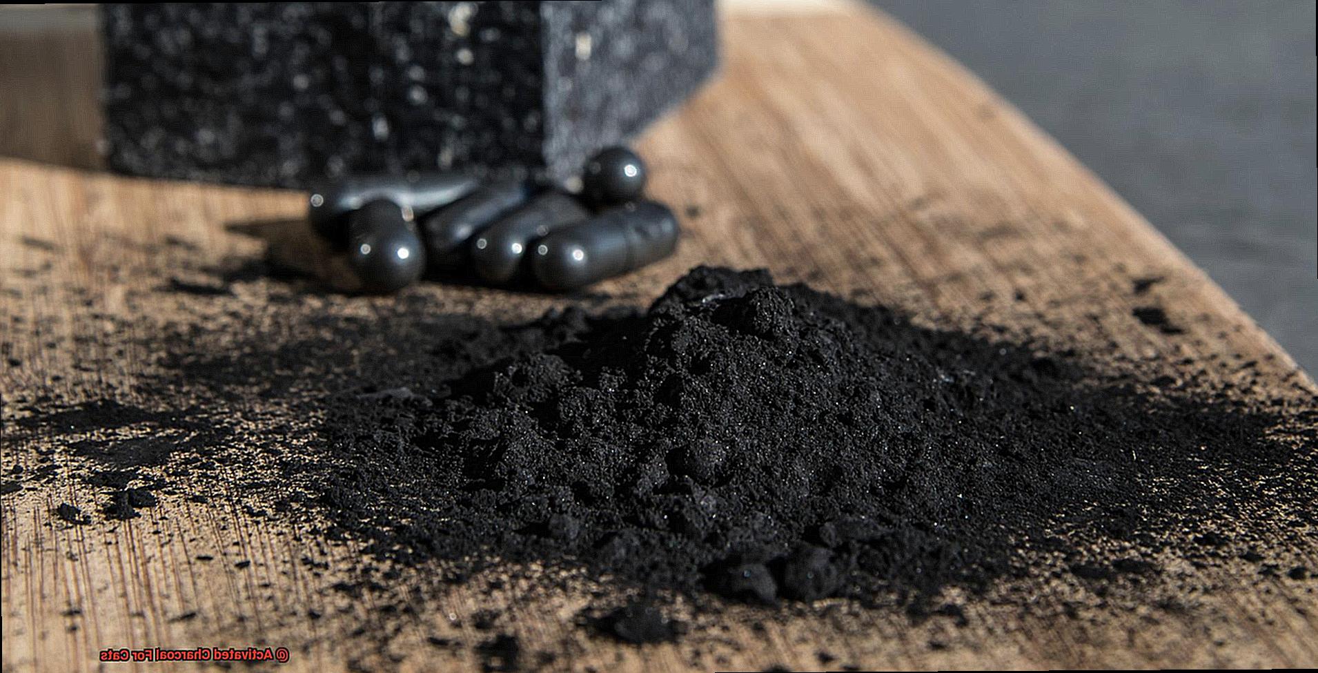 Activated Charcoal For Cats-4