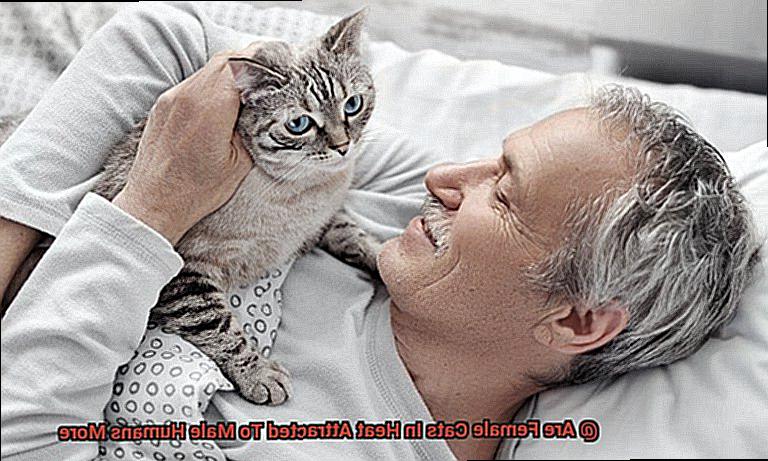 Are Female Cats In Heat Attracted To Male Humans More-6